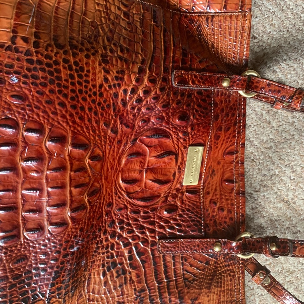 Brahmin Bag